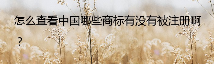 怎么查看中國哪些商標有沒有被注冊啊？