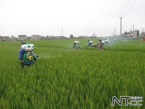 崇川區(qū)推動(dòng)農(nóng)村集體資產(chǎn)產(chǎn)權(quán)交易 年交易額3