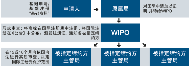 馬德里體系：提交商標(biāo)國際申請——流程