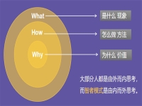 100個賺錢思維模型：黃金圈法則